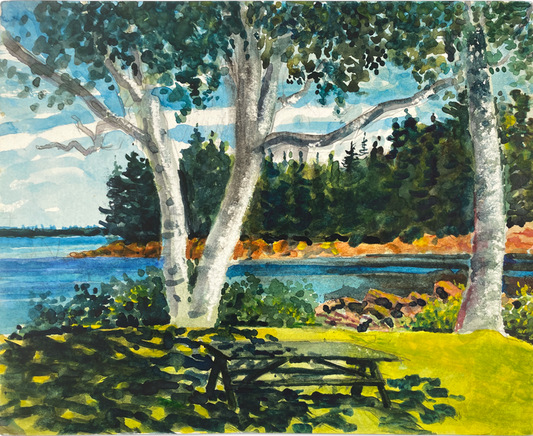Picnic Table Under Birches