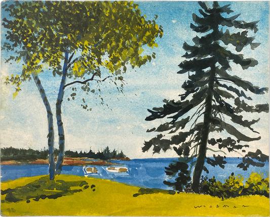 Early Summer Evening at Seal Cove