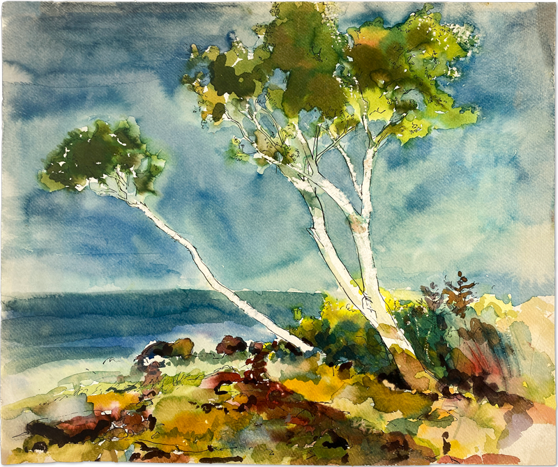 Birches Over Water