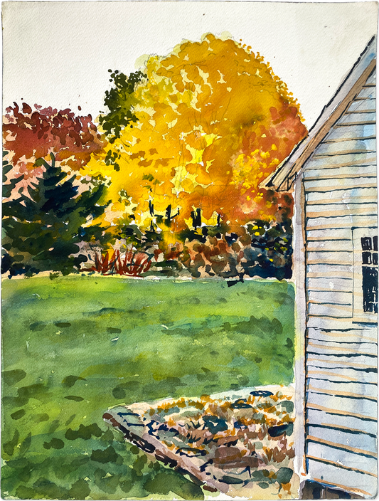 Fall Maple