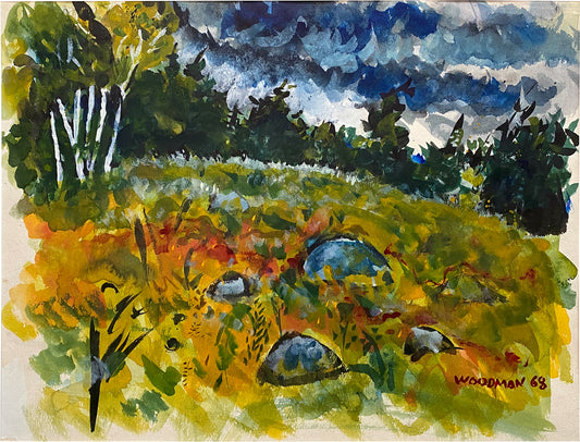 Rocky Maine Field Archival Print